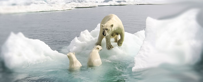 Our Response to Climate Change | AXA Ireland