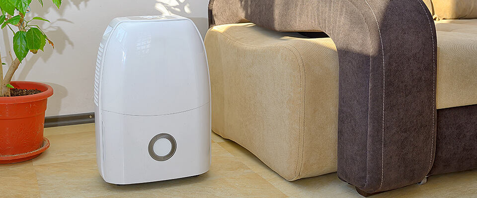 Portable dehumidifier colect water from air