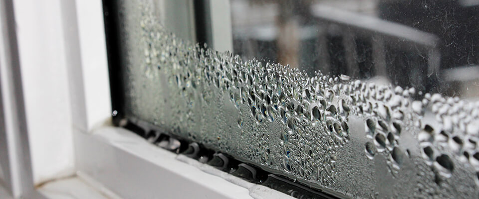 Water condensation on window