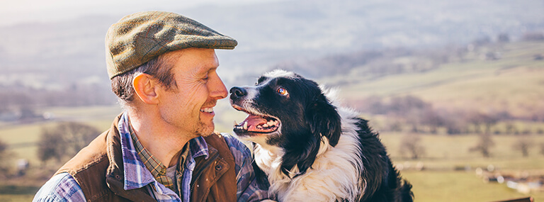 Farm Insurance Quotes from AXA Smart Farm Insurance Ireland