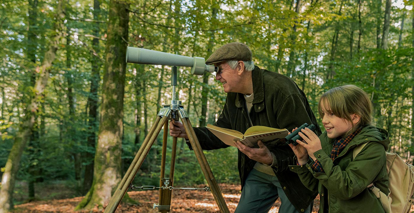 Replacement Car Motor Insurance Cover Ireland